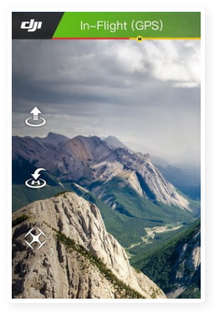 Видеокурс DJI GO (онлайн). Интерфейс, настройки управления дронами и стабилизаторами DJI